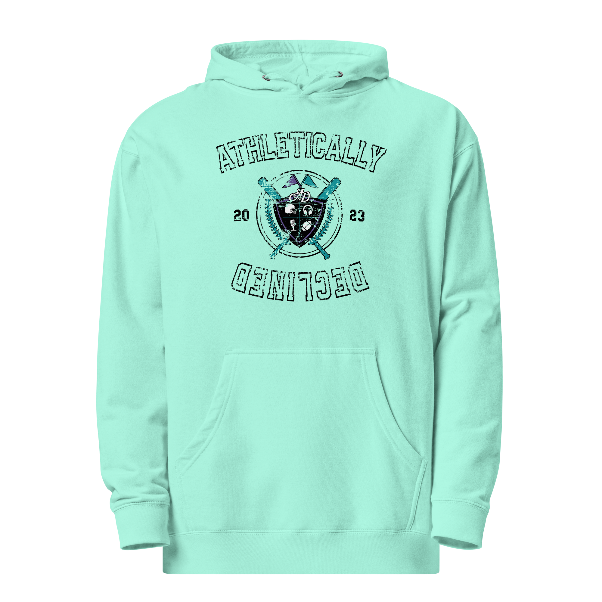 Adult 'AD University' Pullover Hoodie